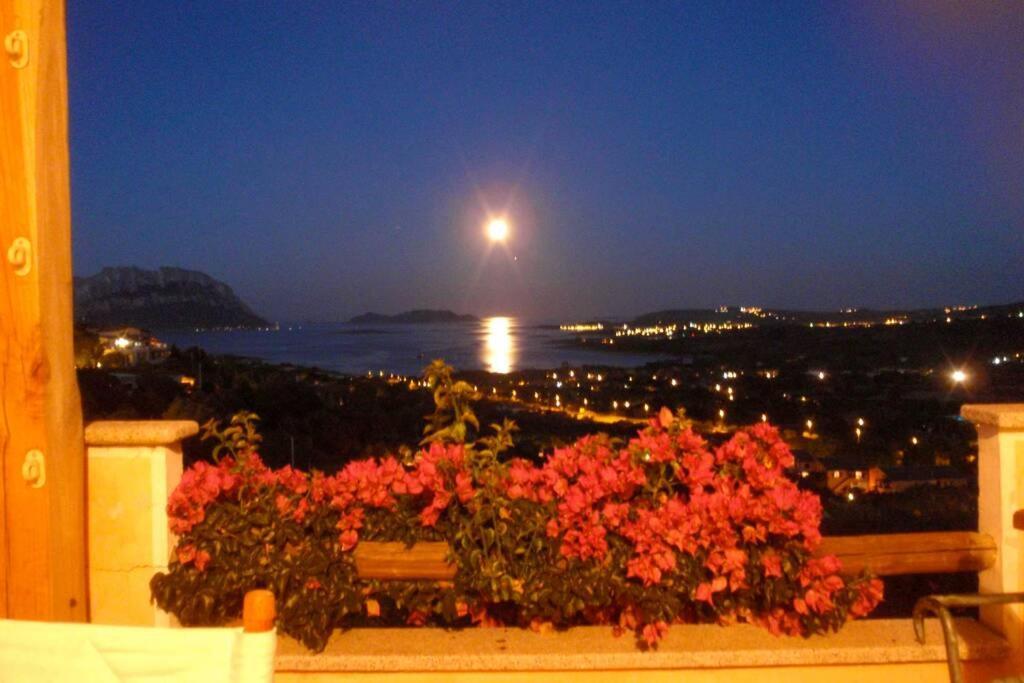 Villa And Pool Tavolara View Porto Istana Exterior photo